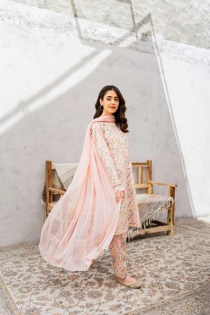 Ready made pakistan dresses