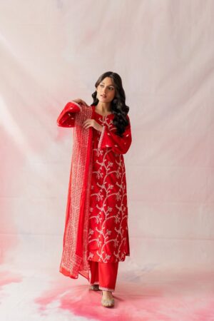 Ready made pakistan dresses