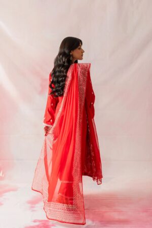 Ready made pakistan dresses