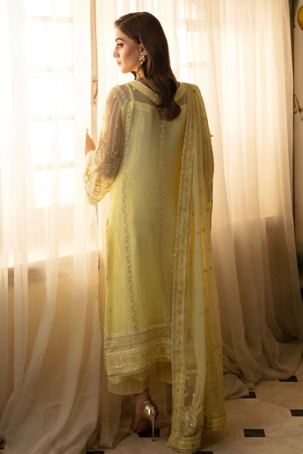 Gulaal chiffon collection 2024