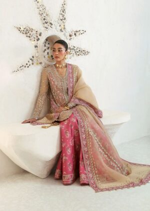 Suffuse by Sana Yasir Freeshia collection