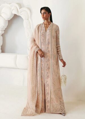 Suffuse by Sana Yasir Freeshia collection