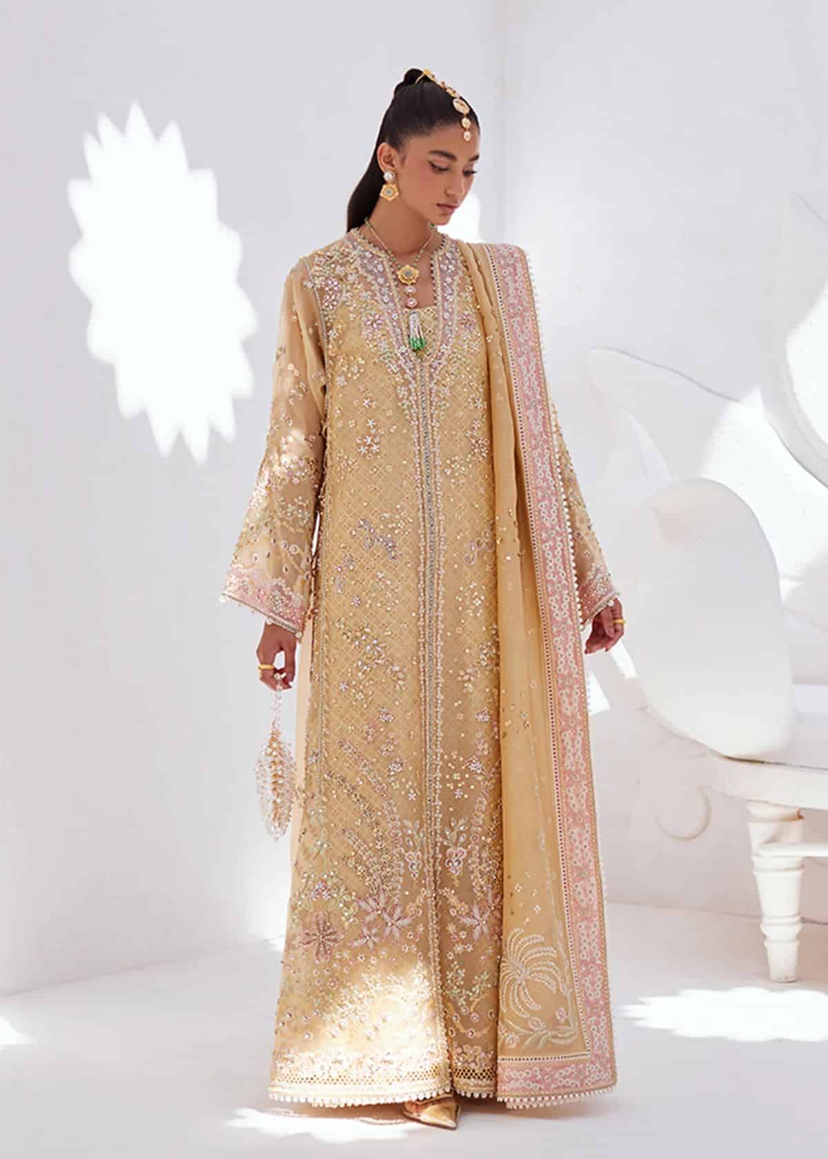 Suffuse by Sana Yasir Freeshia collection