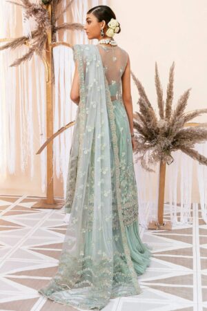 soraya luxury wedding festive collection