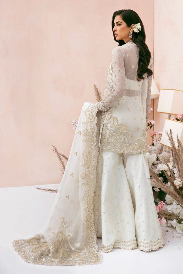 soraya luxury wedding festive collection