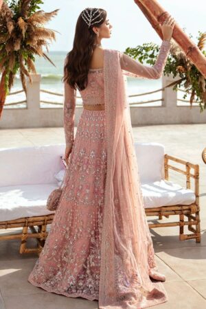 Gulaal chiffon collection 2024