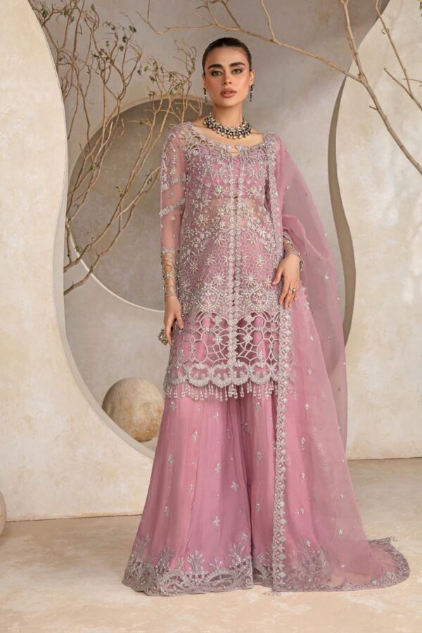 Rangrasiya wedding collection 2024