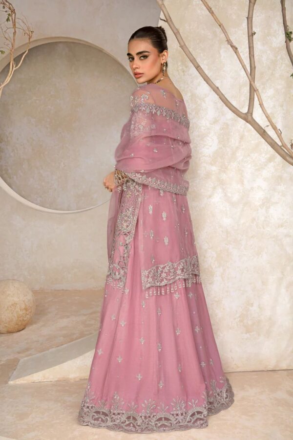 Rangrasiya wedding collection 2024