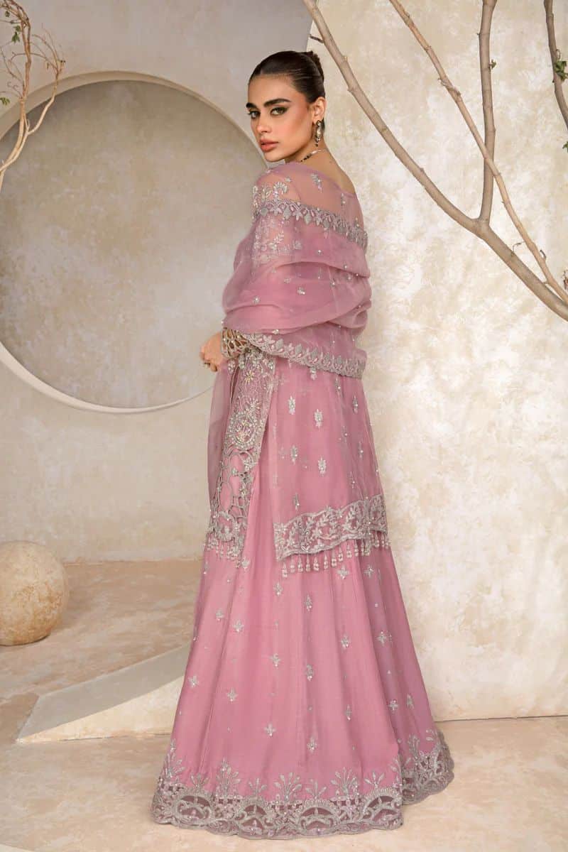 Rangrasiya wedding collection 2024