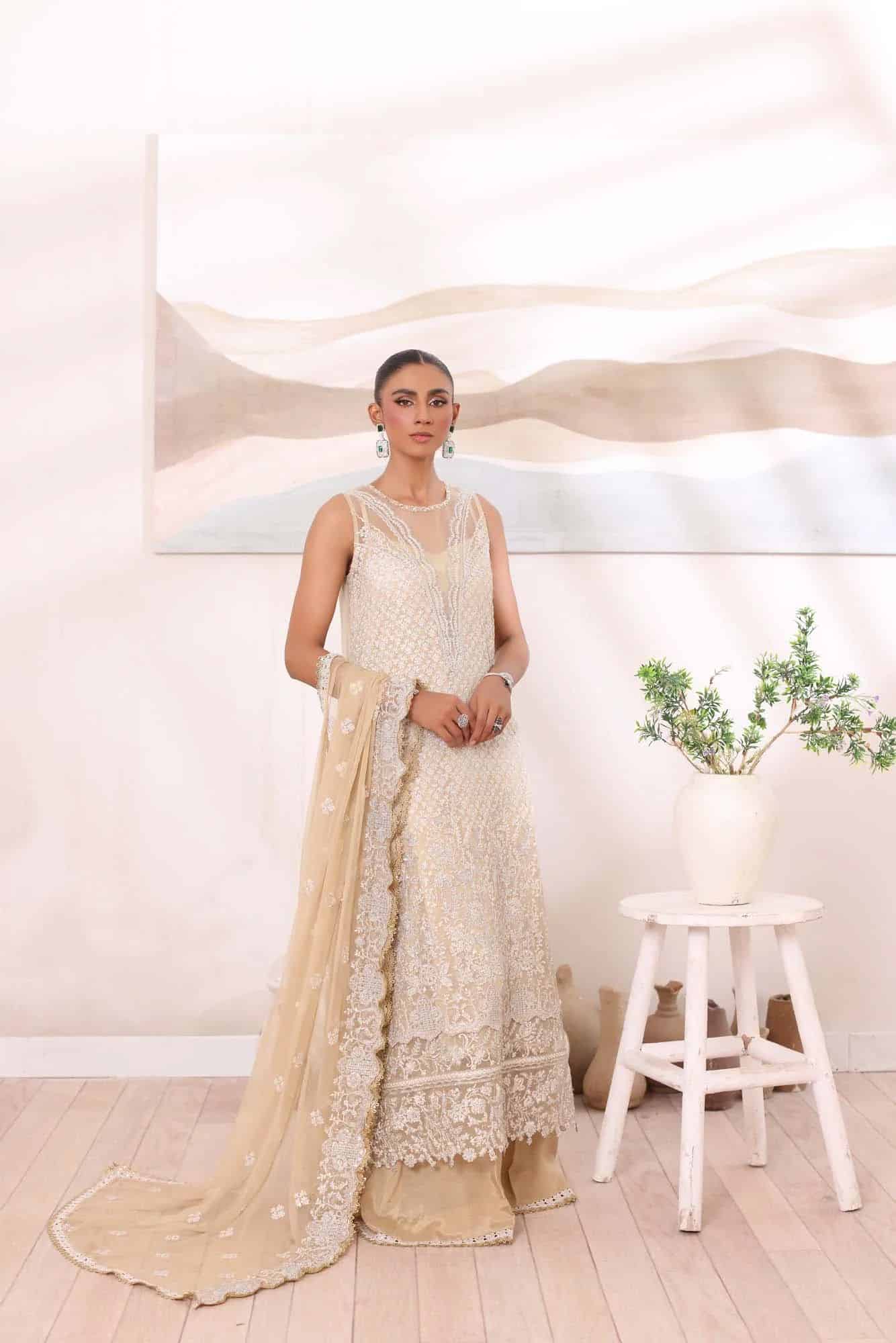 noor by Saadia Asad chiffon collection