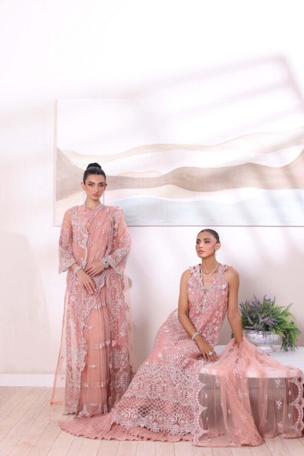 noor by Saadia Asad chiffon collection