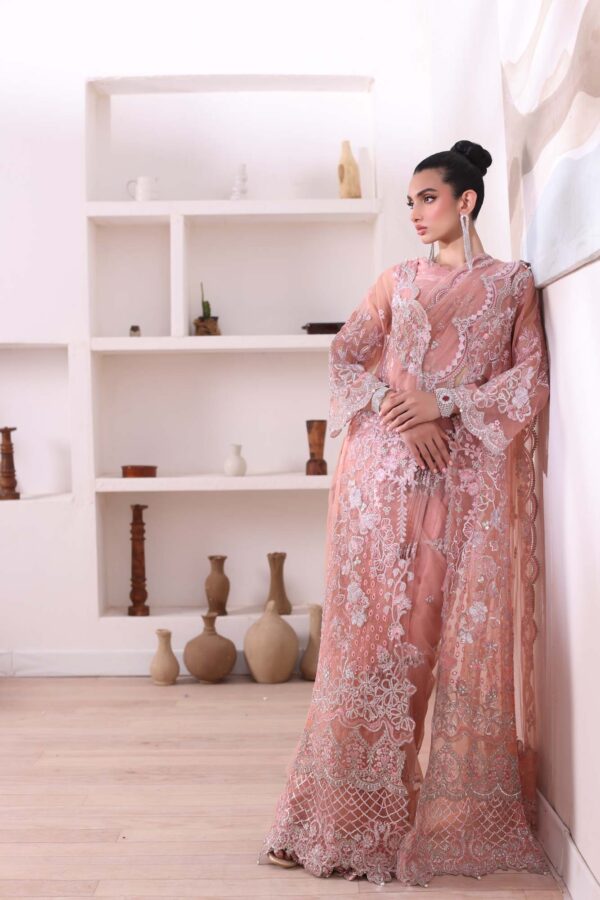 noor by Saadia Asad chiffon collection