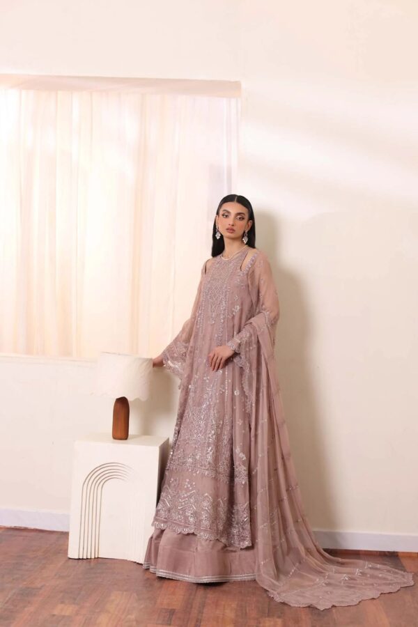 noor by Saadia Asad chiffon collection