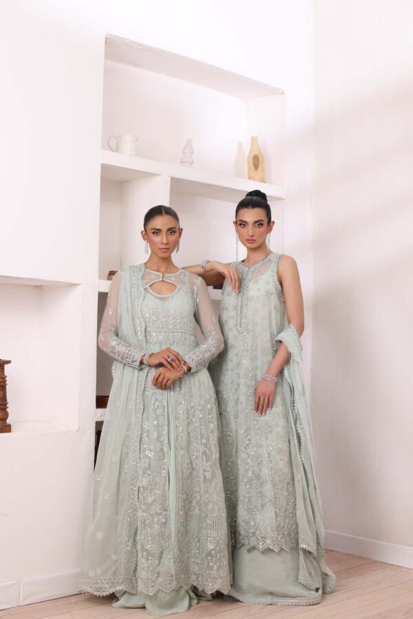 noor by Saadia Asad chiffon collection