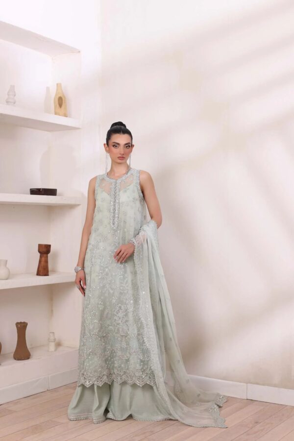 noor by Saadia Asad chiffon collection