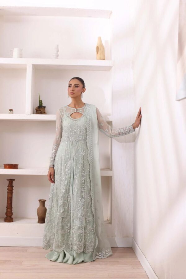 noor by Saadia Asad chiffon collection