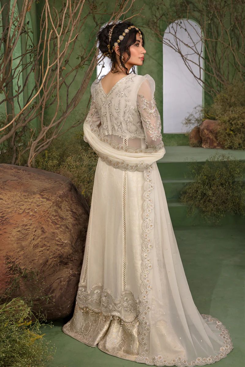 Rangrasiya wedding collection 2024