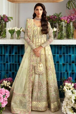 Gulaal chiffon collection 2024