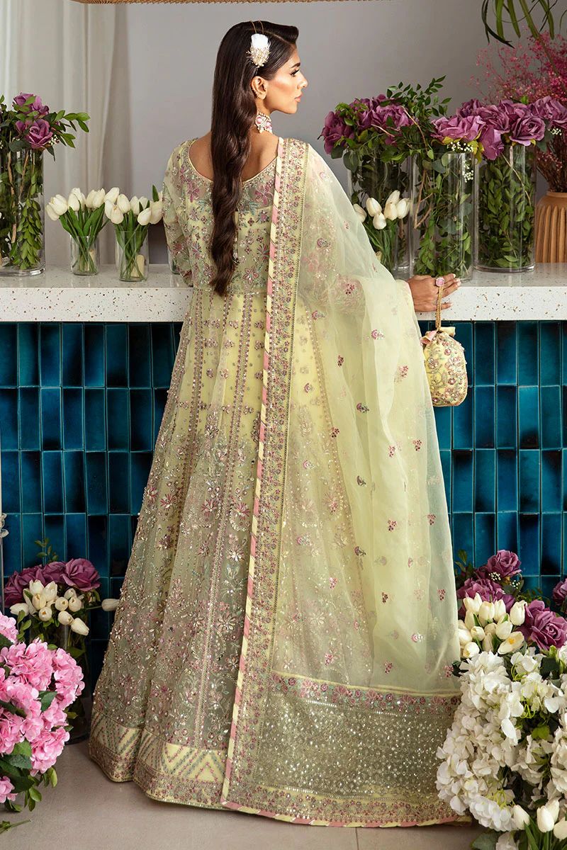 Gulaal chiffon collection 2024