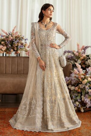 Gulaal chiffon collection 2024