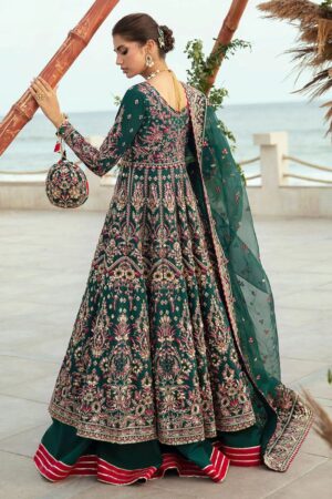 Gulaal chiffon collection 2024