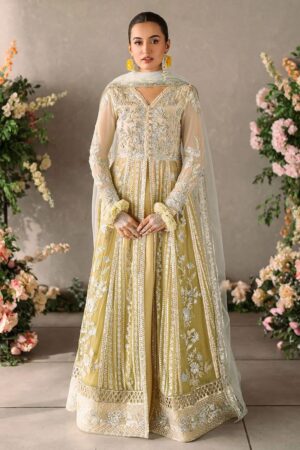 Mushq mastani chiffon collection 2024