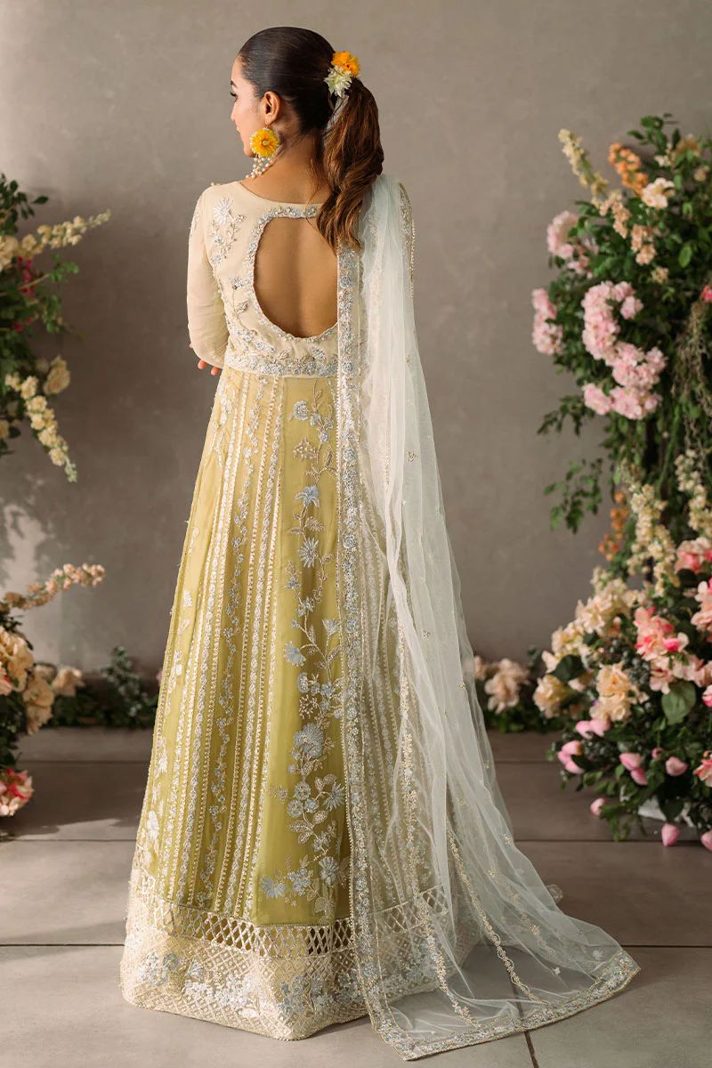 Mushq mastani chiffon collection 2024