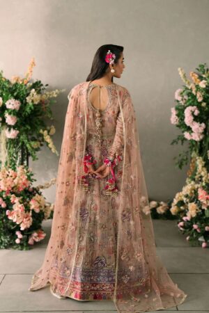 Mushq mastani chiffon collection 2024