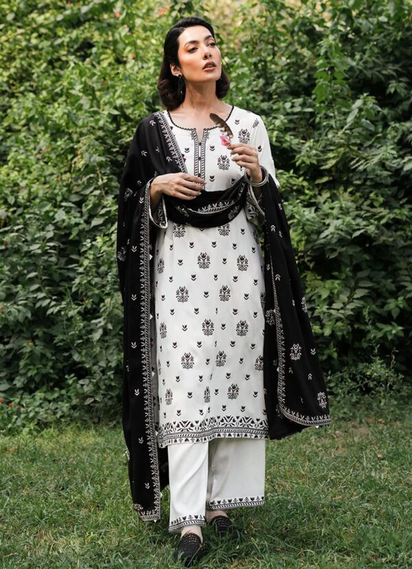 image winterkari Chikankari suits 2024