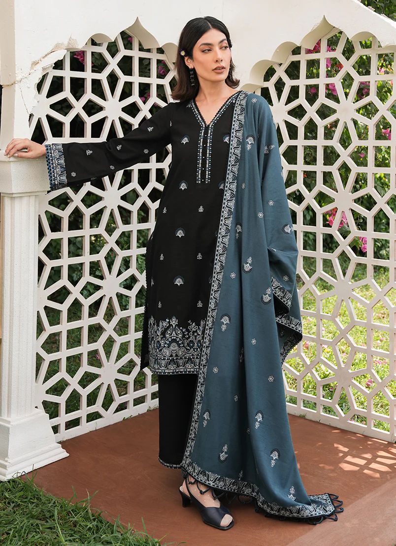 image winterkari Chikankari suits 2024