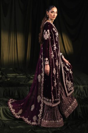 Qalamkar velvet collection 2024