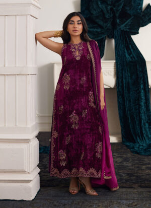 Farah Talib Aziz velvet collection