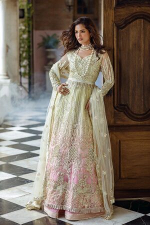 Mushq stardust chiffon collection 2024