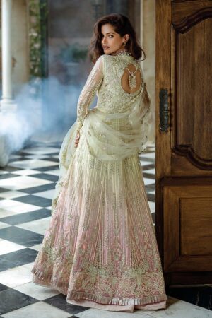 Mushq stardust chiffon collection 2024