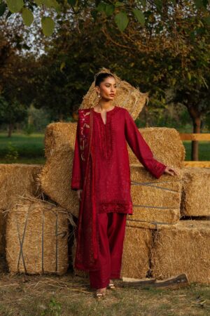 saira Rizwan winter collection 2024 uk