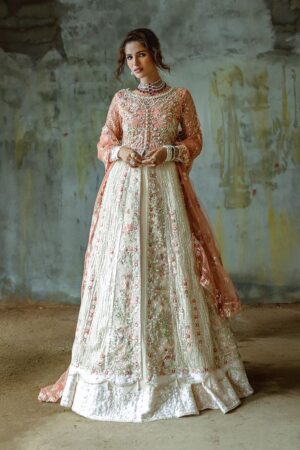 Mushq stardust chiffon collection 2024