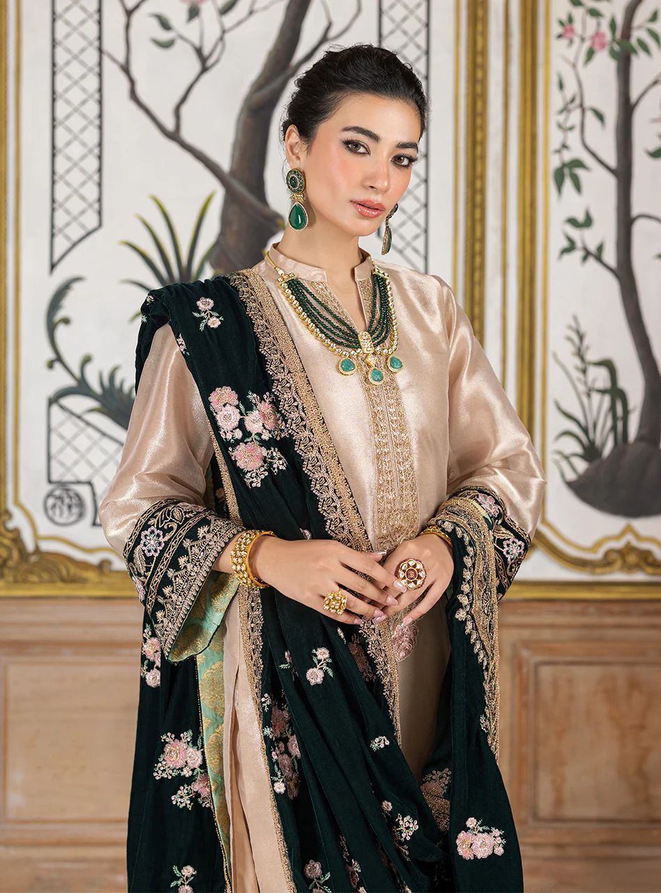 Zainab chottani velvet collection 2024