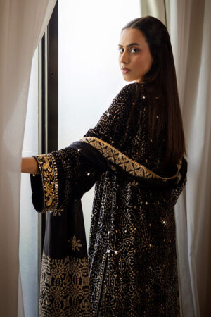 Ansab Jahangir velvet collection