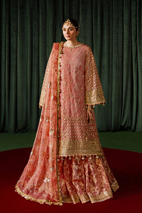 Mohsin Naveed Ranjha Festive collection 2024