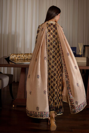 Ansab Jahangir velvet collection