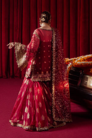 Mohsin Naveed Ranjha Festive collection 2024