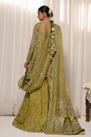 Saad bin Shehzad chiffon collection 2024