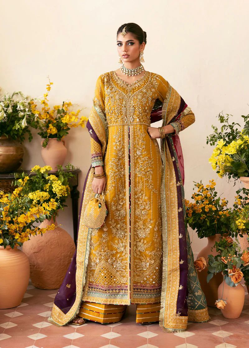 Gulaal chiffon collection 2024