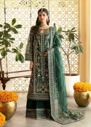 Gulaal chiffon collection 2024