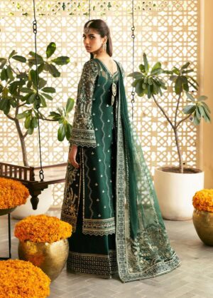 Gulaal chiffon collection 2024