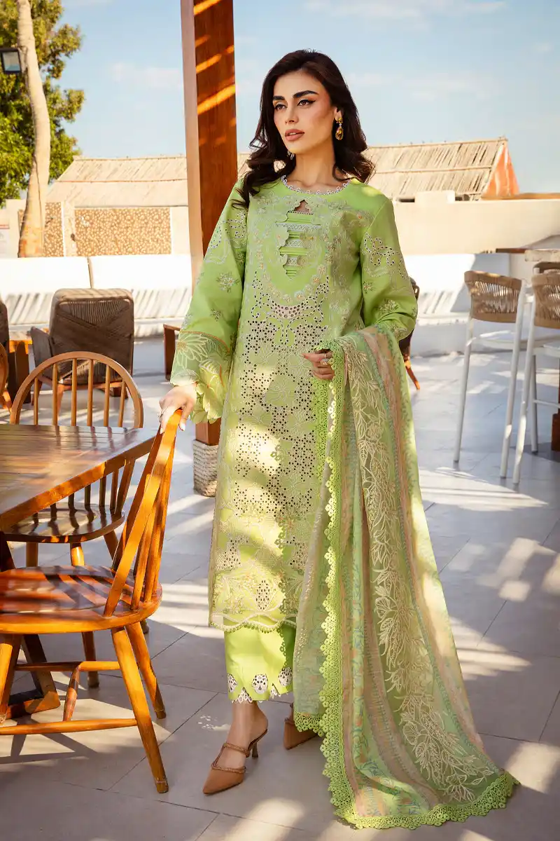 Rangrasiya lawn Collection Elaheh