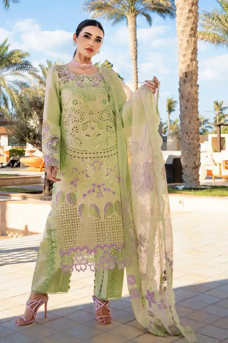 Rangrasiya lawn collection Ayleen