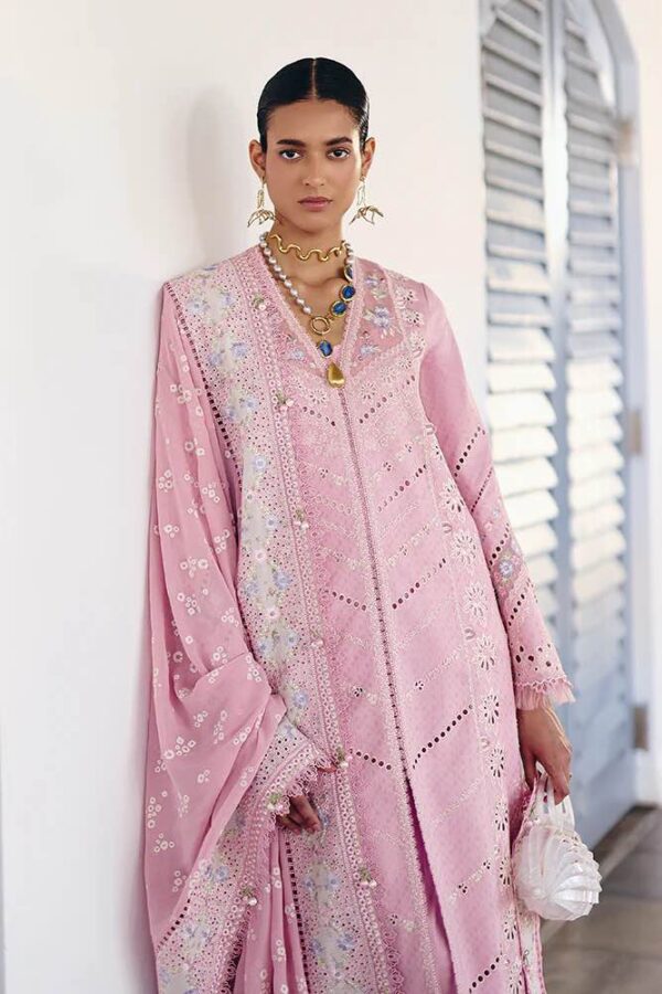 Safar - Image 2