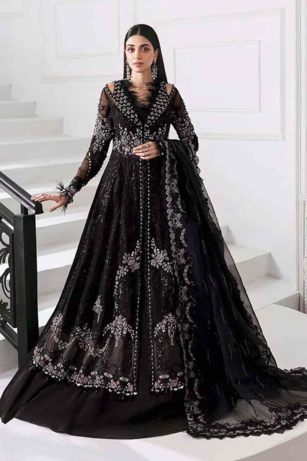 Embroidered Chiffon- Black