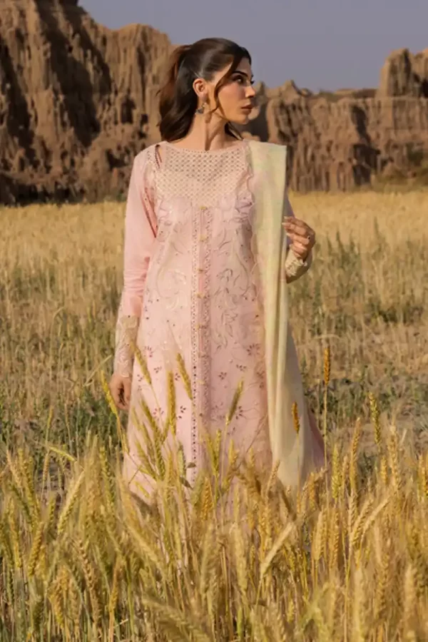 Nehal - Image 2
